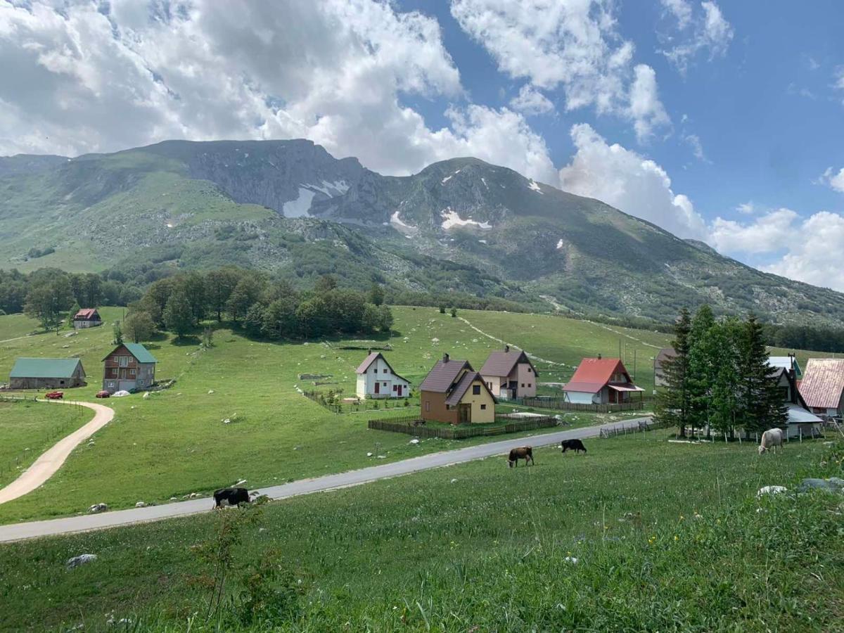 Blackberry House Zabljak Buitenkant foto
