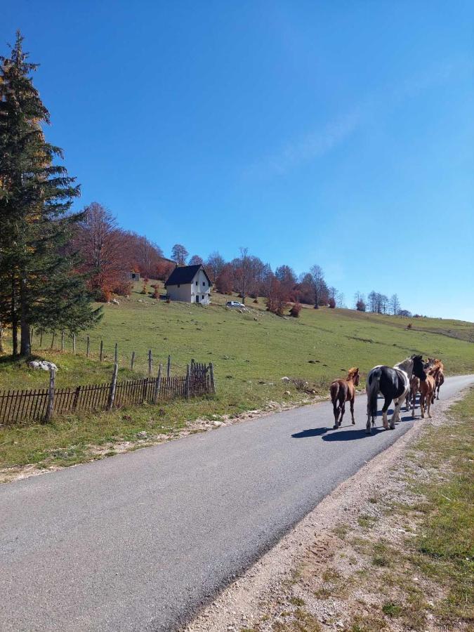 Blackberry House Zabljak Buitenkant foto